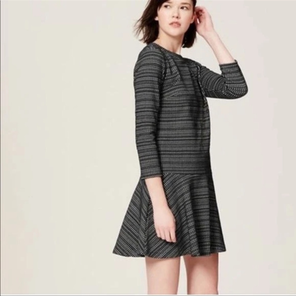 LOFT Textured Knit Drop Waist Dress Medium NWT Black White Geometric Print